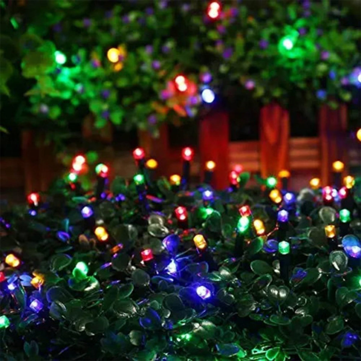 5 Pisca Pisca Natal 10m 100 Led Fixo Colorido Macho Femea
