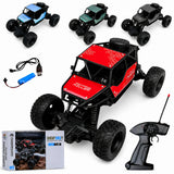 Carrinho Controle Remoto Metálico Rali Super Truck Premium