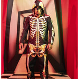 Festa Fantasia Halloween Masculino Adulto Luxo Carnaval Premium