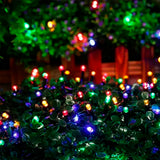 10 Pisca Pisca Natal 10m 100 Led Fixo Colorido Macho Femea - Fio Verde